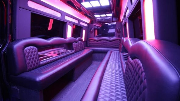 mckinney sprinter limo rental inside